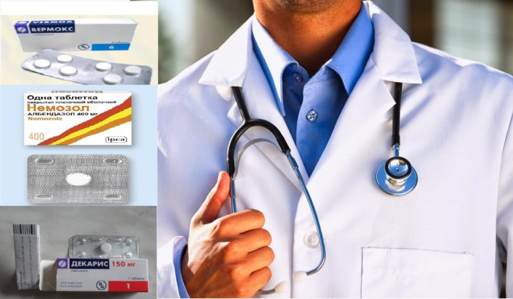 Таблетки от глистов и паразитов для человека