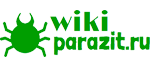 WikiParazit.ru — мир паразитов: виды, формы, симптомы, последствия