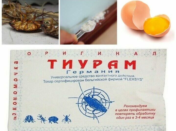 Тиурам от тараканов и как им пользоваться