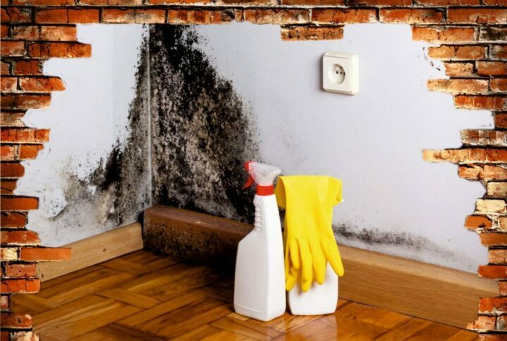 Как уничтожить плесень на стенах в квартире под обоями
